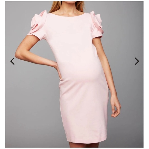 A Pea in the Pod X Pietro Brunelli maternity dress - Picture 2 of 8